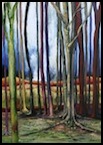 selva